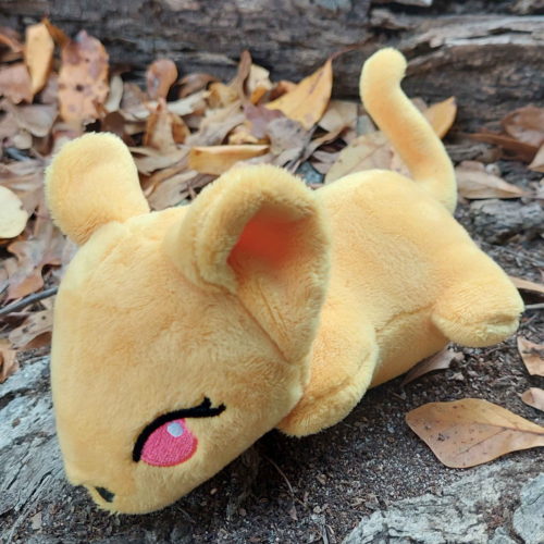 Rat