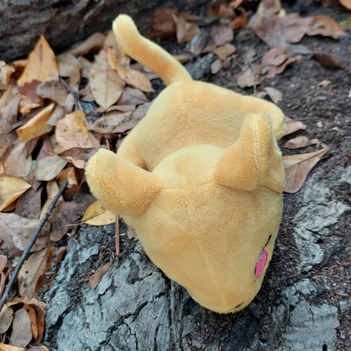 Rat